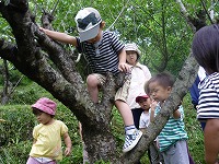 2009-08-1 (Sat) ̉摜